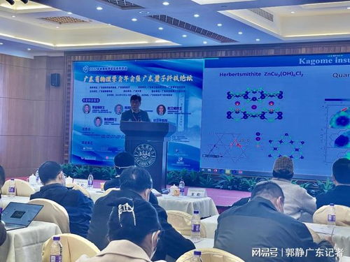 广东量子科技论坛在粤举行，铁基超导与超声技术领域取得重大进展