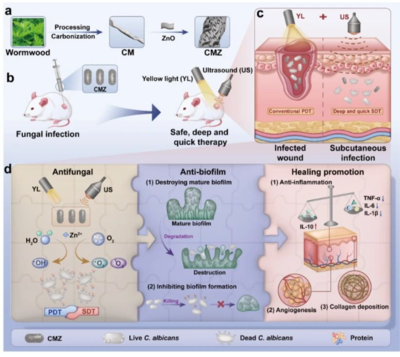 黄光超声技术 真菌无踪，脚气克星的科研实力新突破